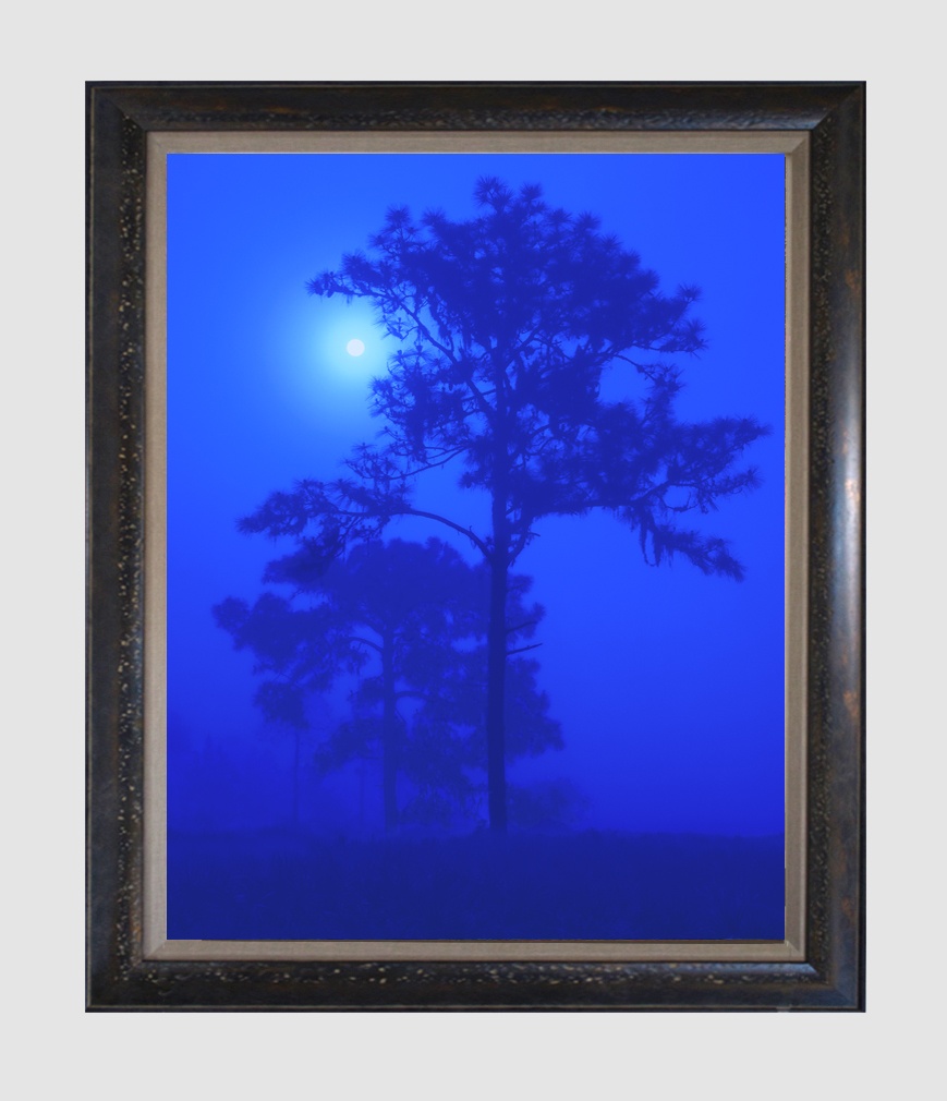 Blue Moon Framed