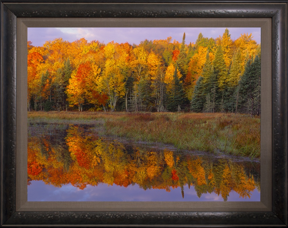 Beaver Pond Sunset Framed