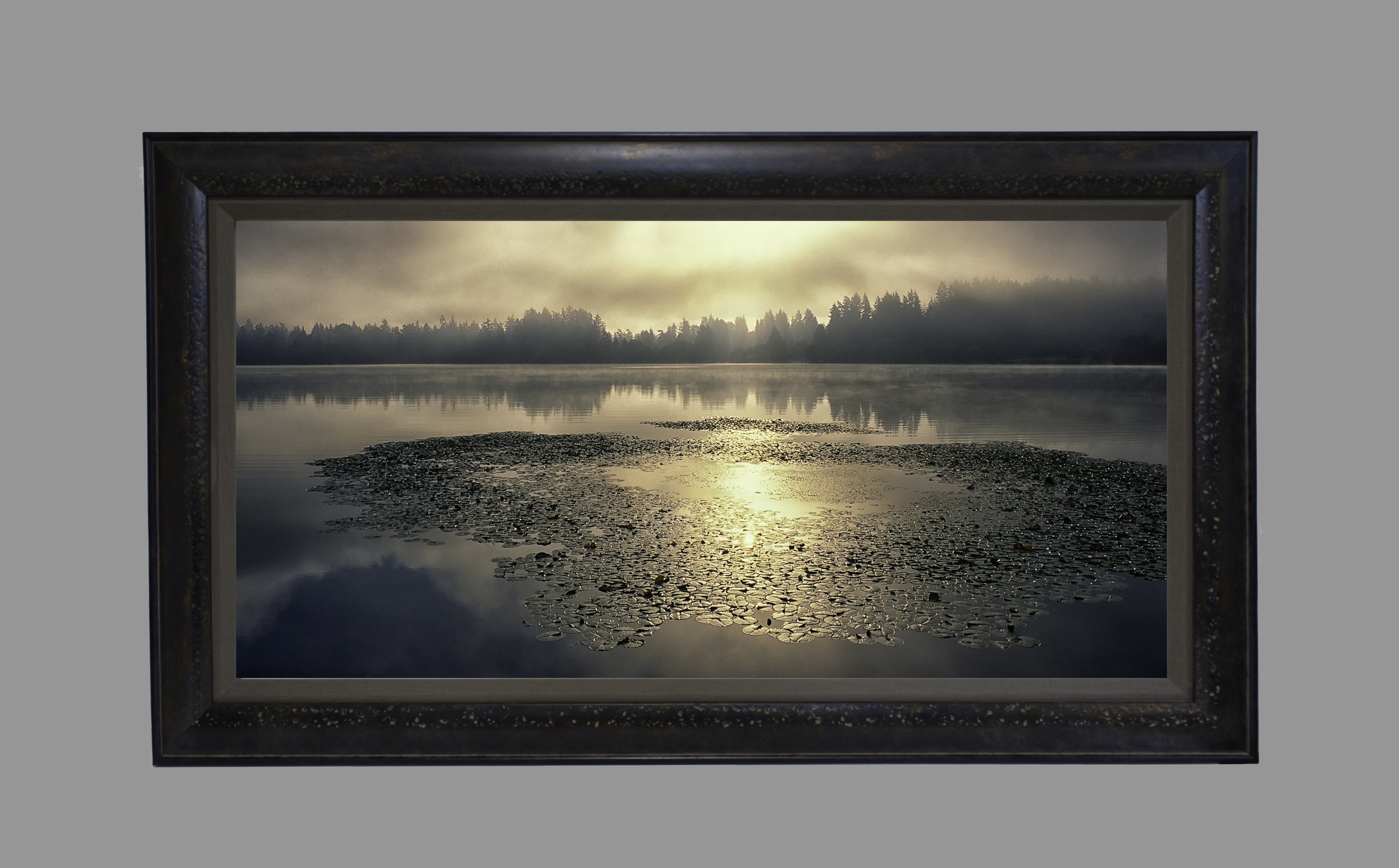 Washington Lilypads Framed