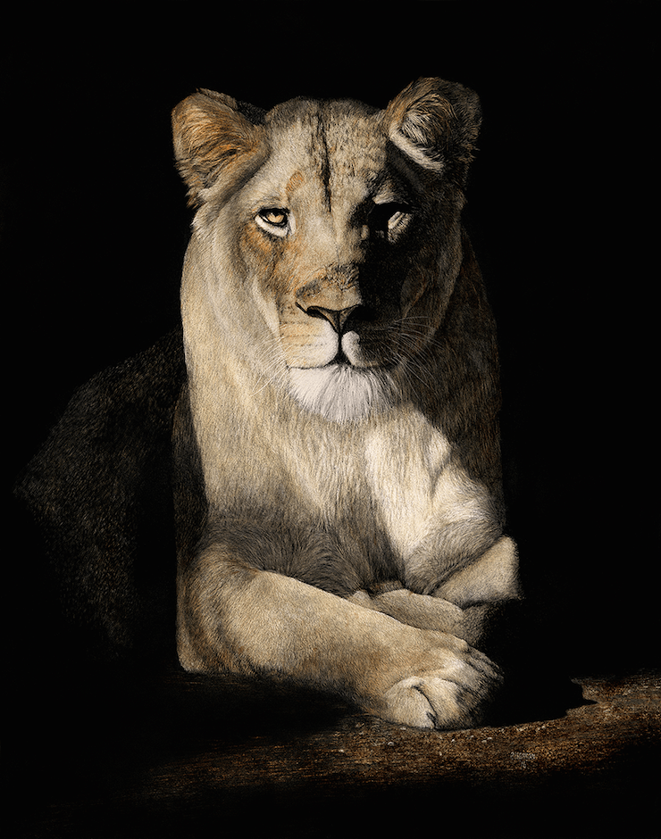 Kaya 8x10 Mounted Paper Print