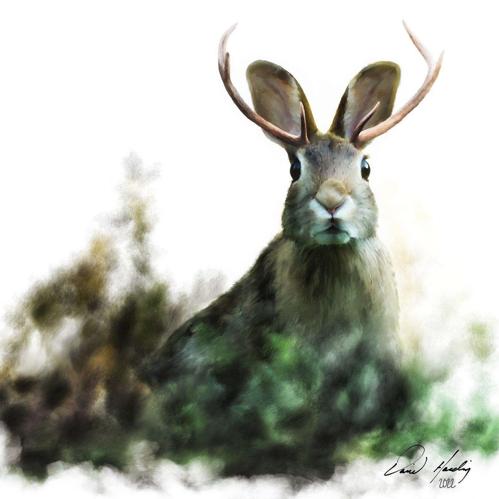 David Harding Wildlife Art