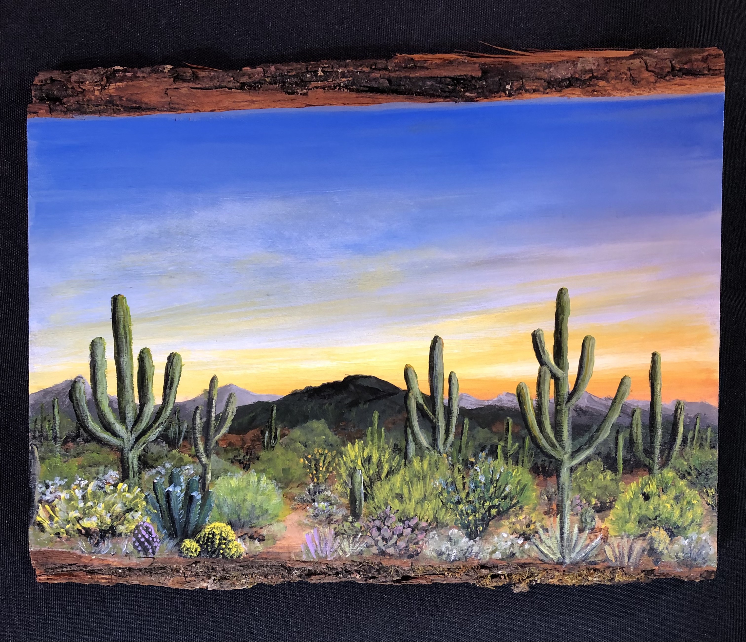 Mari's Desert View Paintings